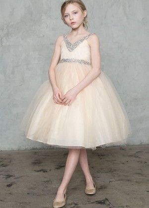 V Neck Beaded Tulle Flower Girl Dress